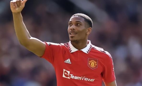 尤其是在主 尤其是在主